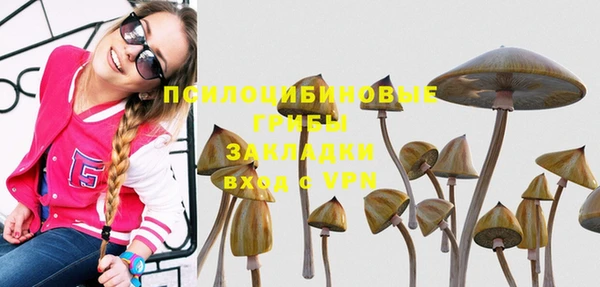 СК Пролетарск
