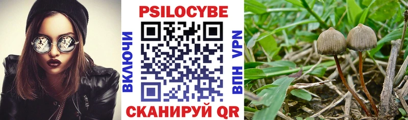 Псилоцибиновые грибы Psilocybe  Касимов 